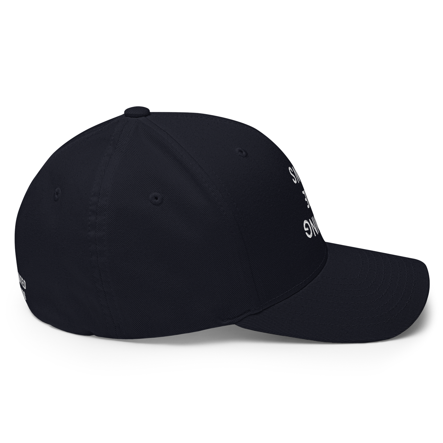 AVOIDING THE NEWS Structured Twill Cap.